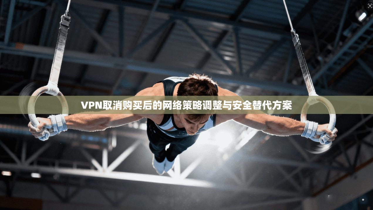 VPN取消购买后的网络策略调整与安全替代方案