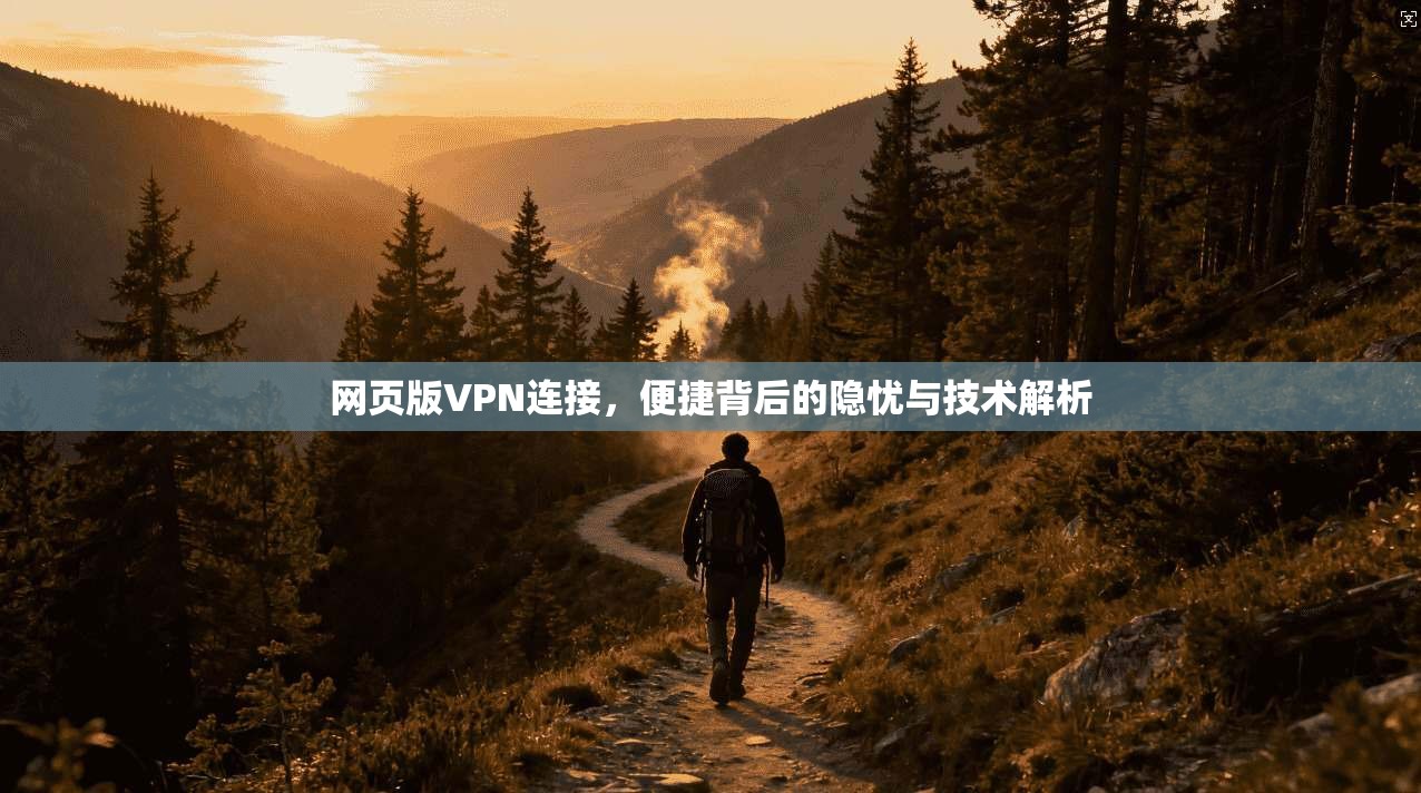 网页版VPN连接，便捷背后的隐忧与技术解析
