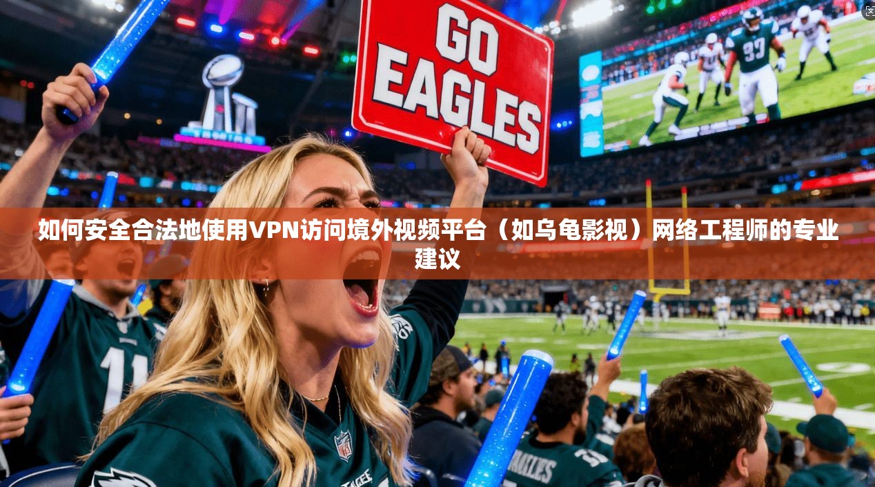 如何安全合法地使用VPN访问境外视频平台（如乌龟影视）网络工程师的专业建议