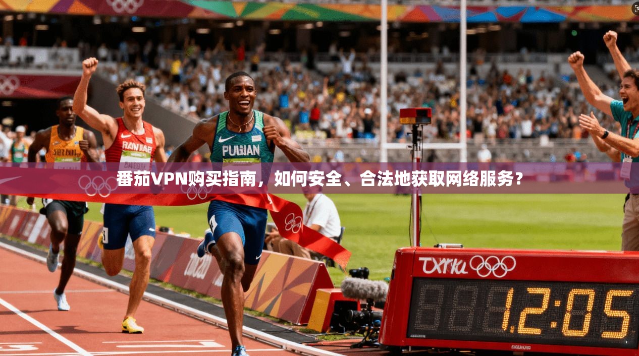 番茄VPN购买指南，如何安全、合法地获取网络服务？