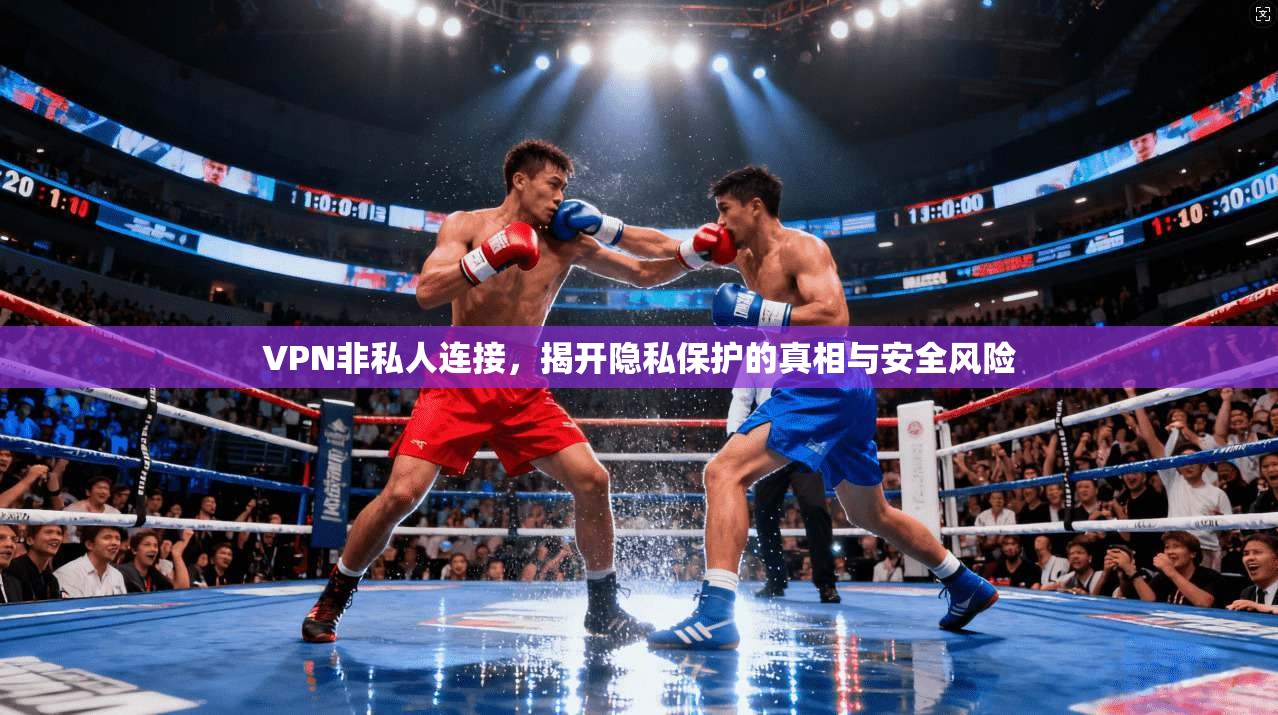 VPN非私人连接，揭开隐私保护的真相与安全风险