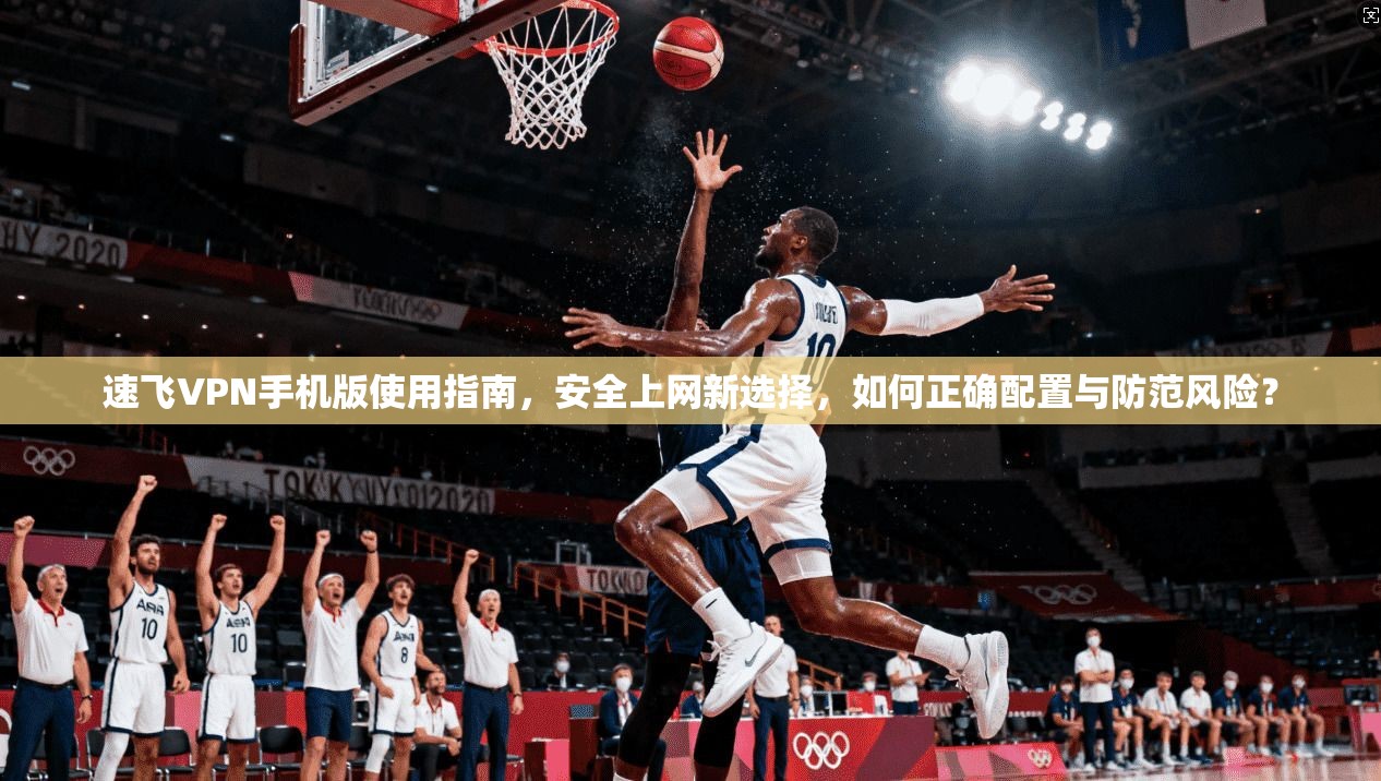 速飞VPN手机版使用指南，安全上网新选择，如何正确配置与防范风险？