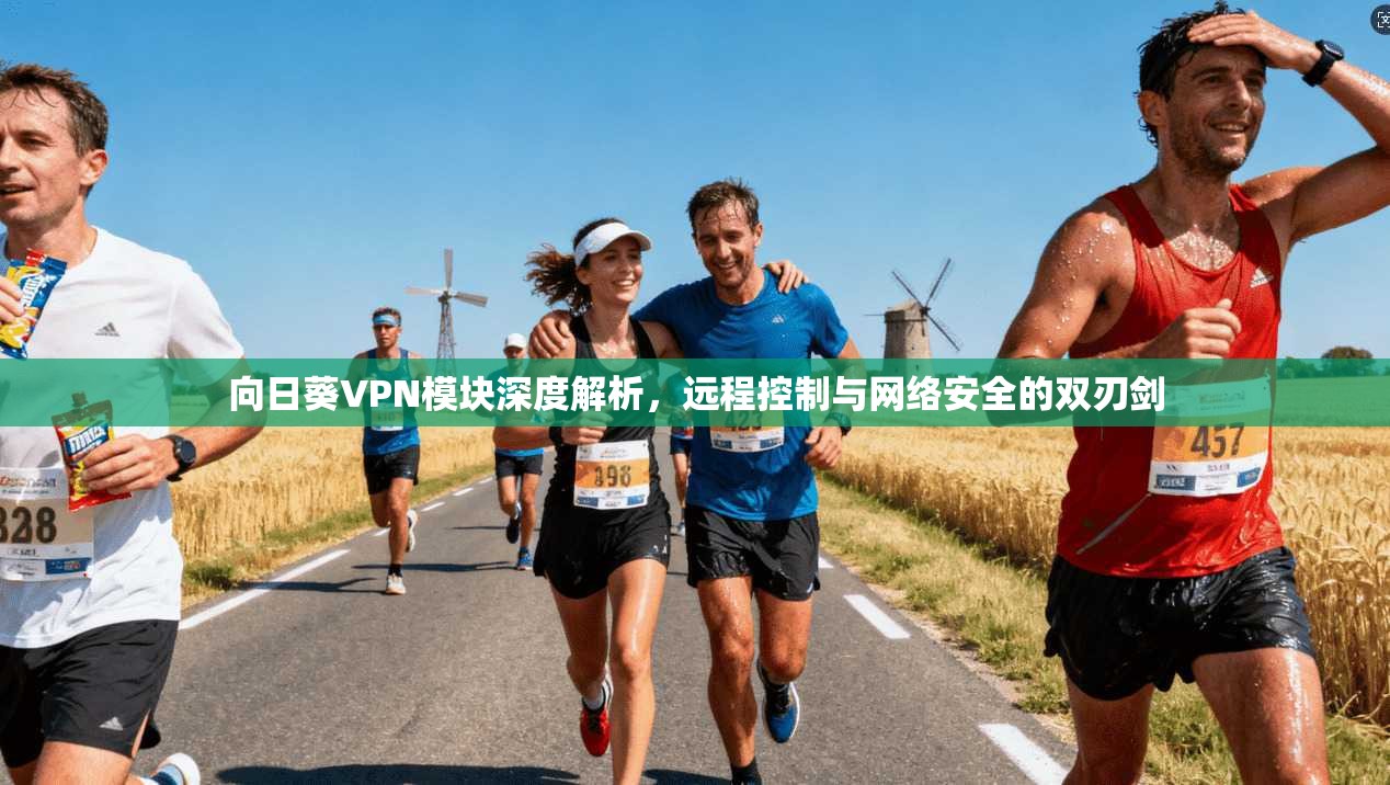 向日葵VPN模块深度解析，远程控制与网络安全的双刃剑