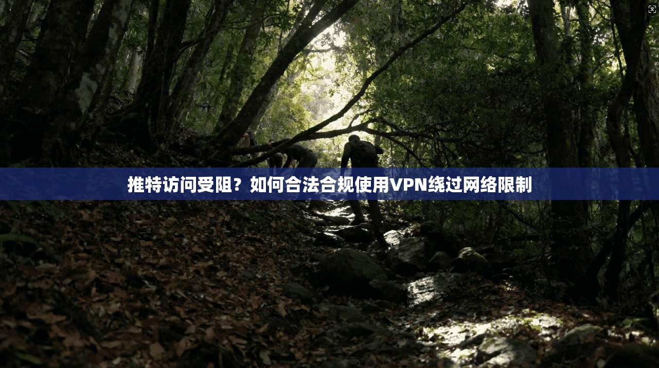 推特访问受阻？如何合法合规使用VPN绕过网络限制