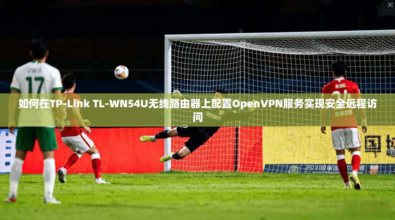 如何在TP-Link TL-WN54U无线路由器上配置OpenVPN服务实现安全远程访问