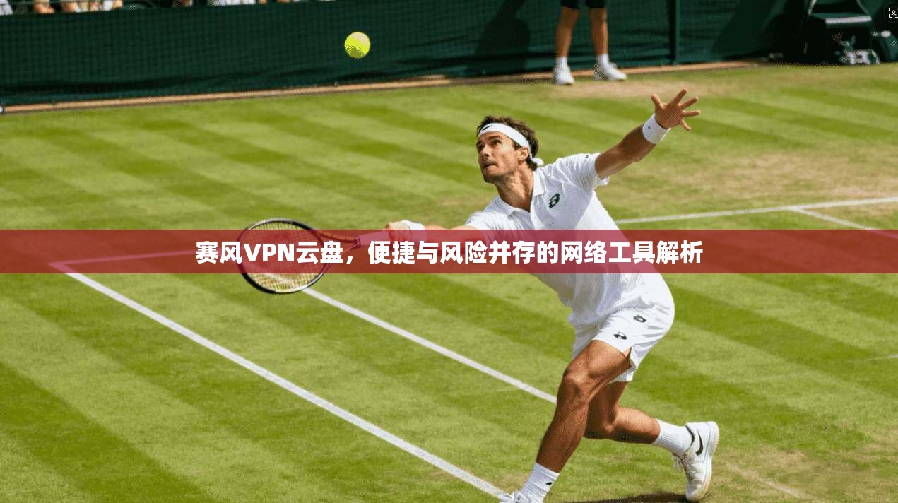 赛风VPN云盘，便捷与风险并存的网络工具解析
