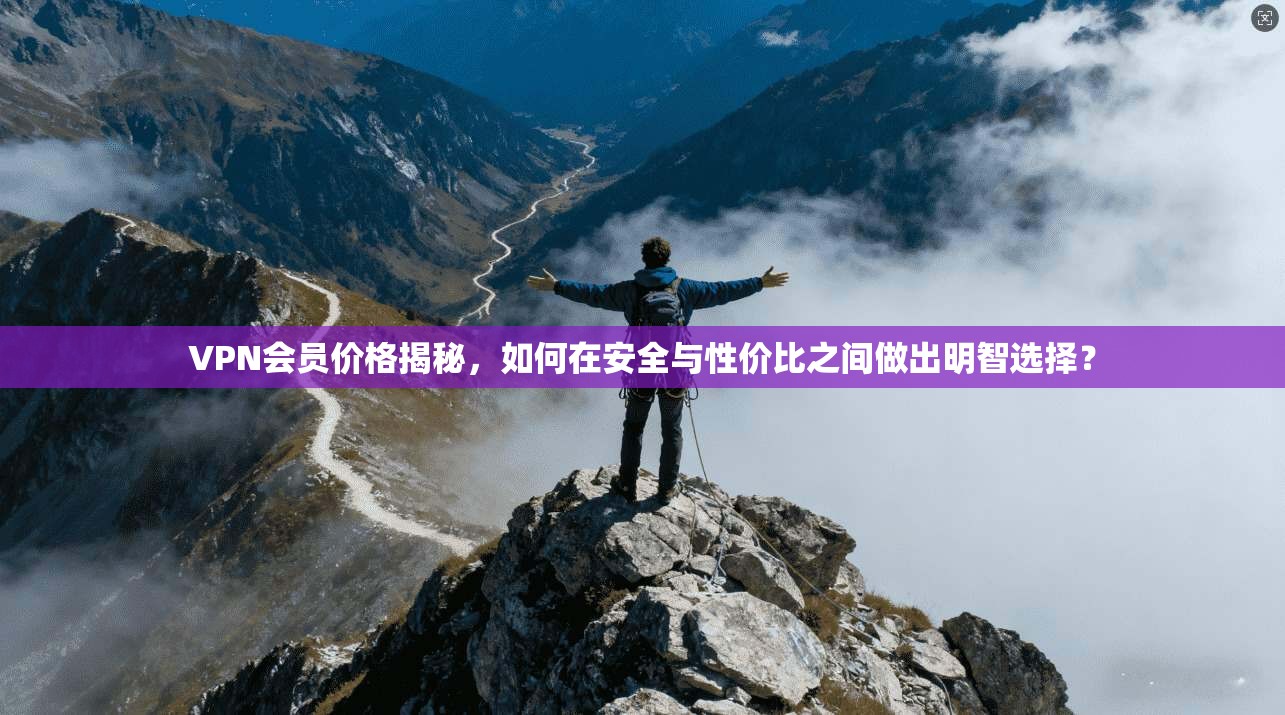 VPN会员价格揭秘，如何在安全与性价比之间做出明智选择？
