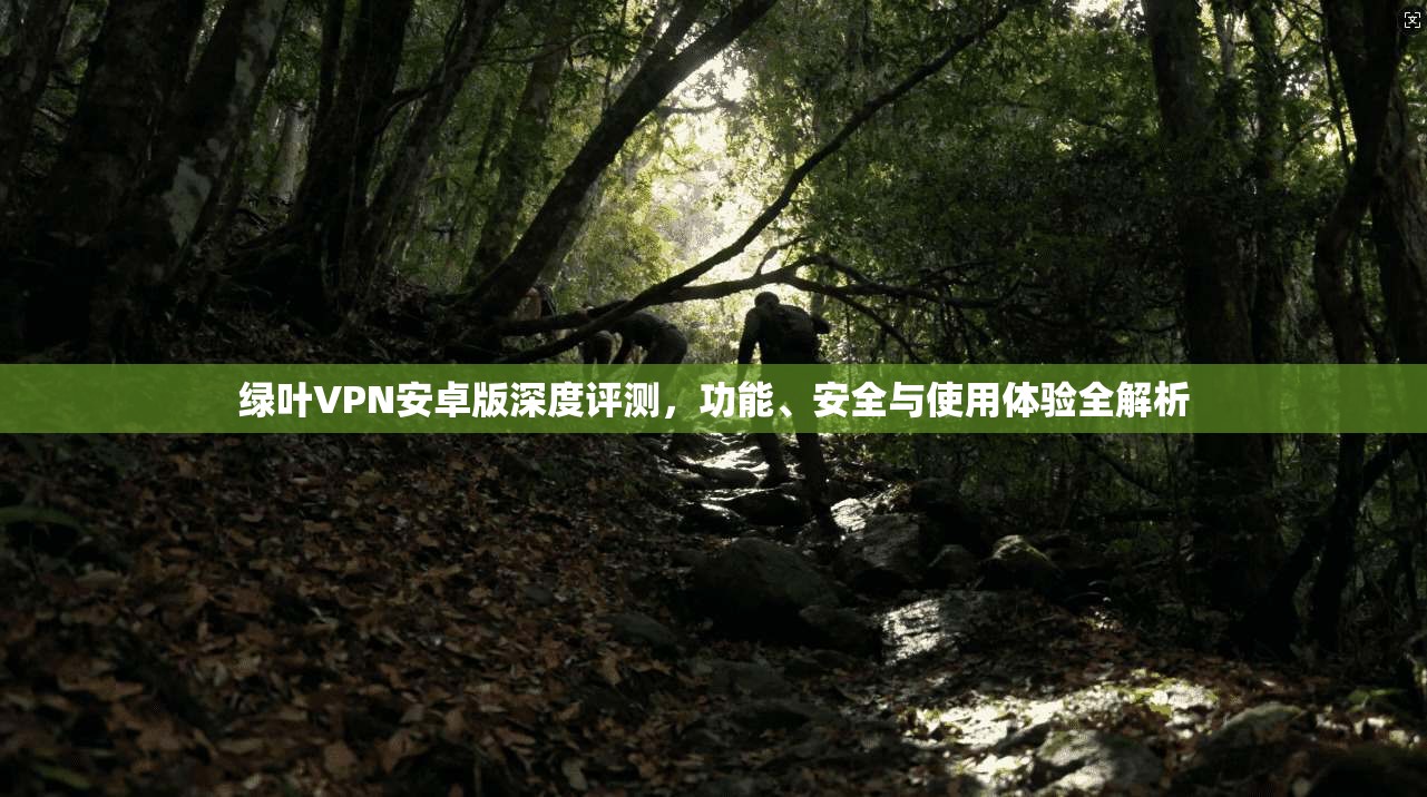 绿叶VPN安卓版深度评测，功能、安全与使用体验全解析