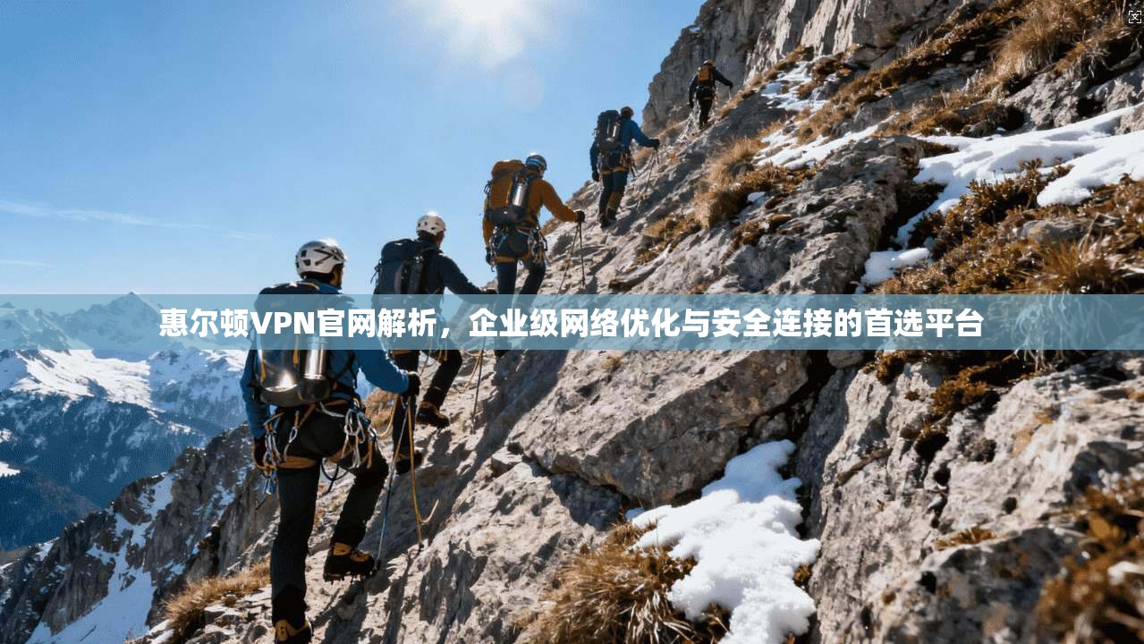 惠尔顿VPN官网解析，企业级网络优化与安全连接的首选平台