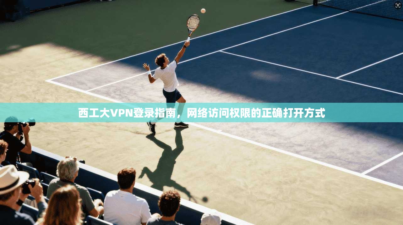 西工大VPN登录指南，网络访问权限的正确打开方式