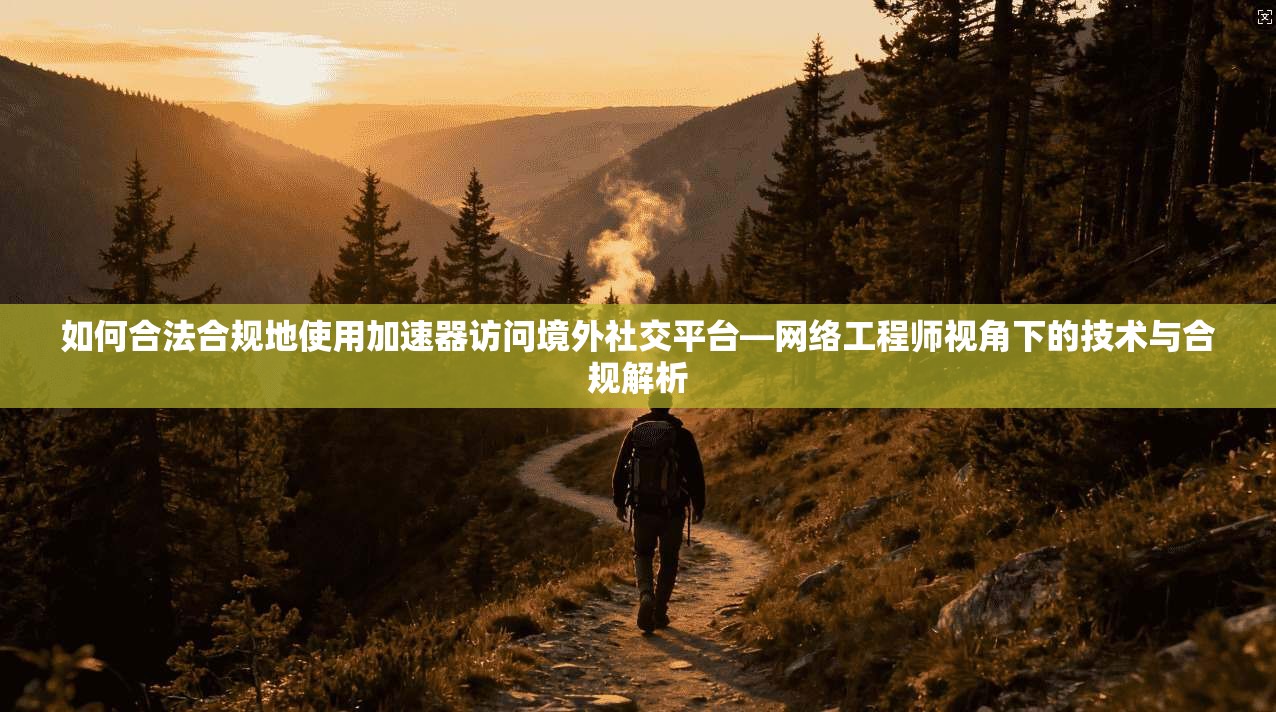 如何合法合规地使用加速器访问境外社交平台—网络工程师视角下的技术与合规解析