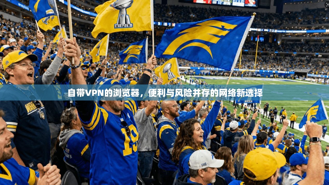 自带VPN的浏览器，便利与风险并存的网络新选择