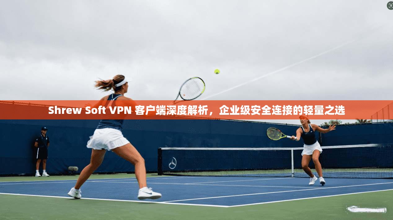Shrew Soft VPN 客户端深度解析，企业级安全连接的轻量之选