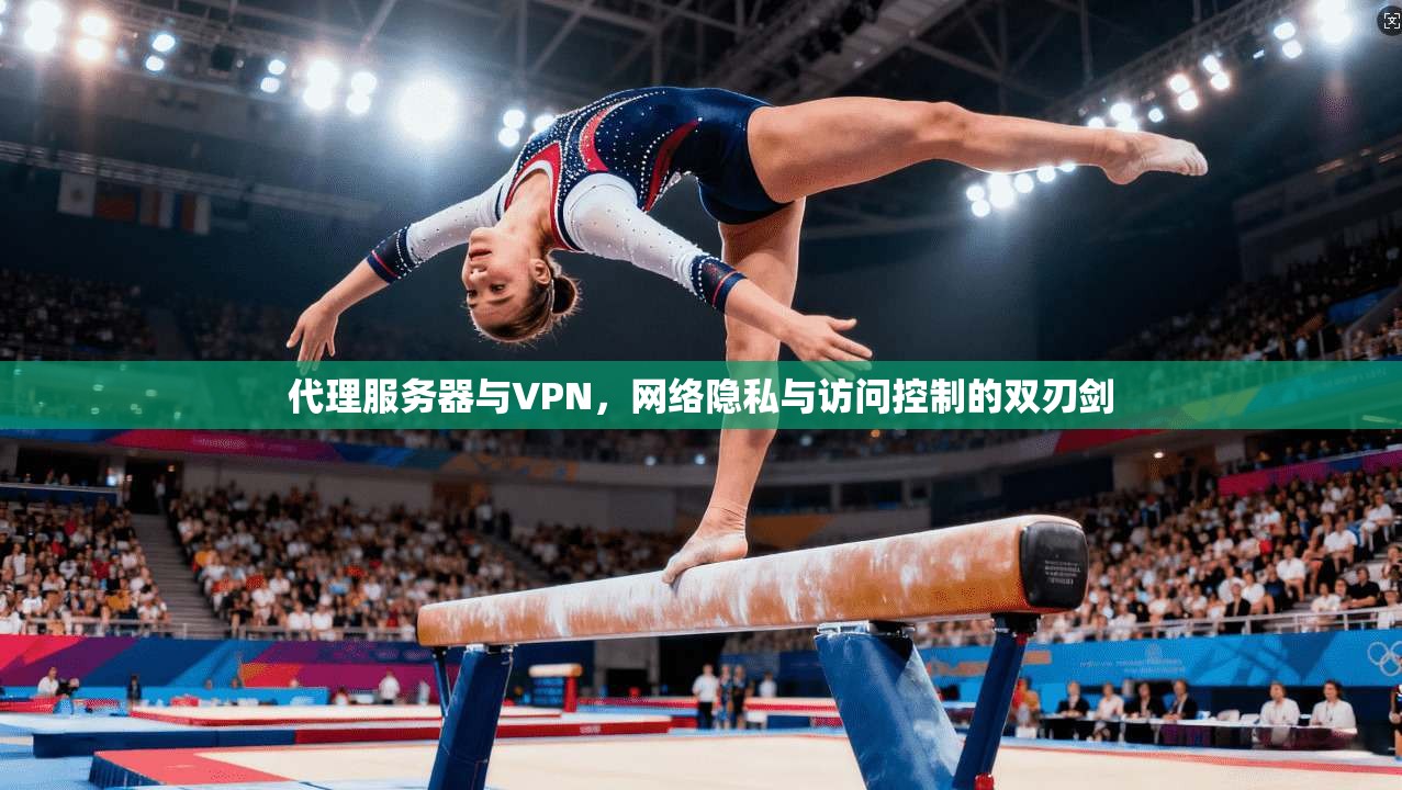 代理服务器与VPN，网络隐私与访问控制的双刃剑
