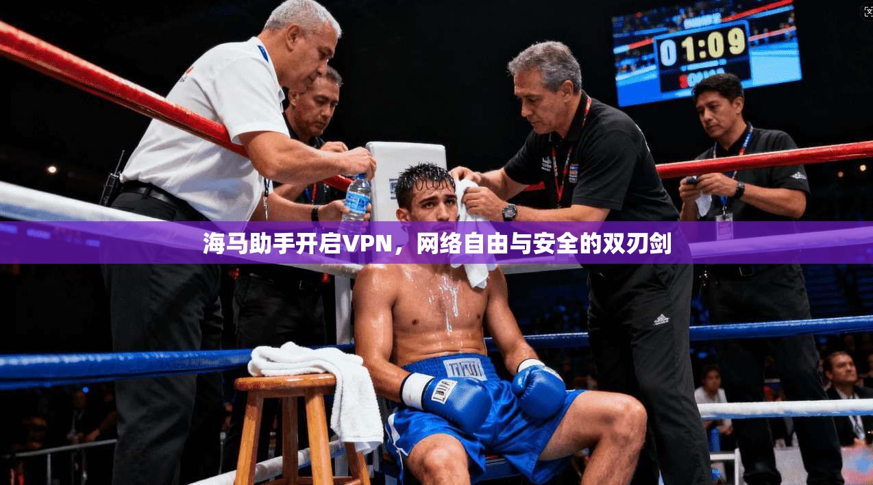 海马助手开启VPN，网络自由与安全的双刃剑