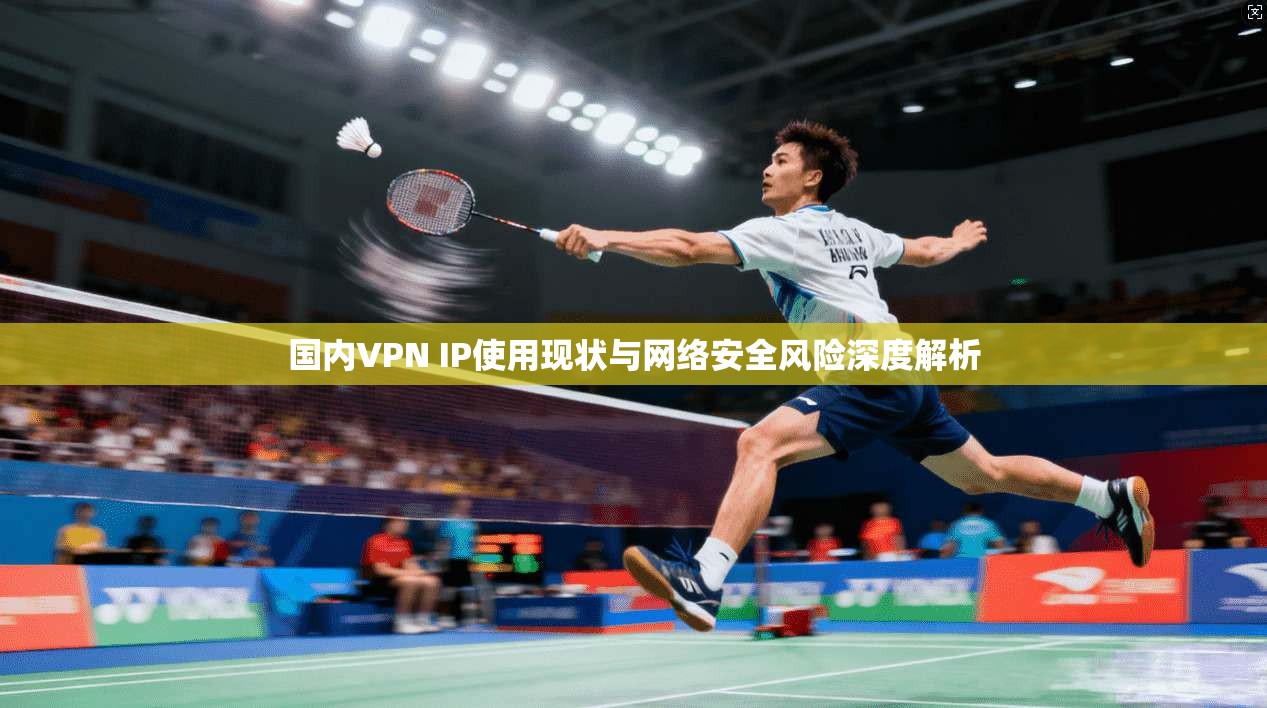 国内VPN IP使用现状与网络安全风险深度解析