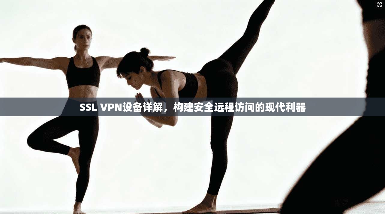 SSL VPN设备详解，构建安全远程访问的现代利器
