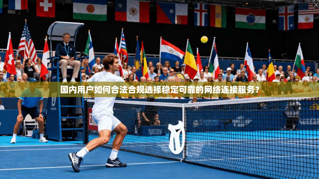 国内用户如何合法合规选择稳定可靠的网络连接服务？