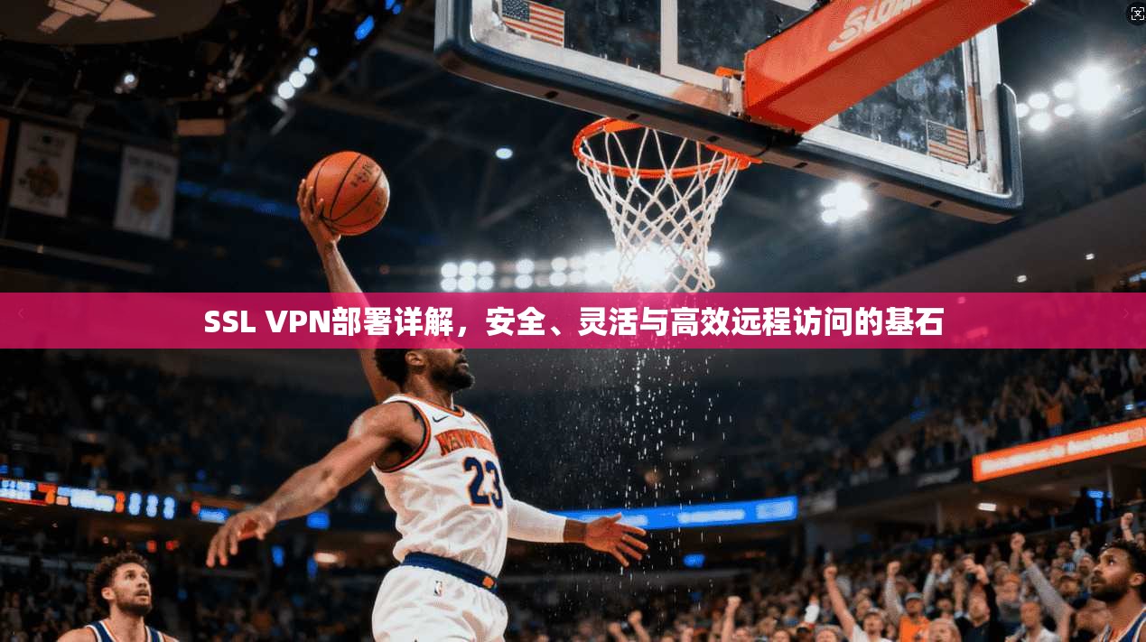 SSL VPN部署详解，安全、灵活与高效远程访问的基石