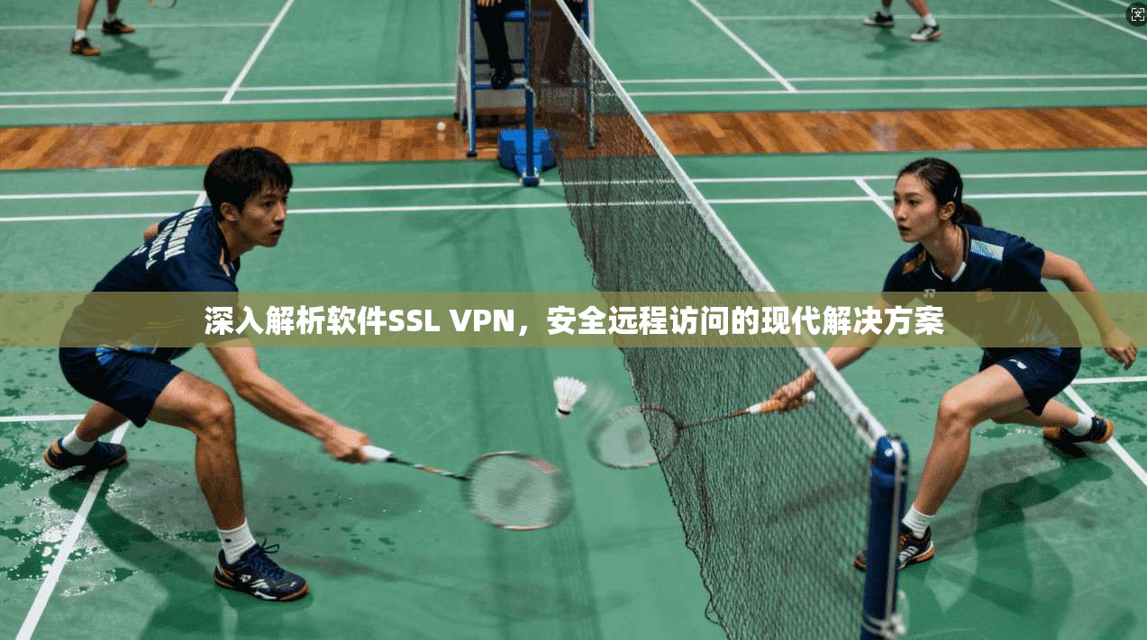 深入解析软件SSL VPN，安全远程访问的现代解决方案