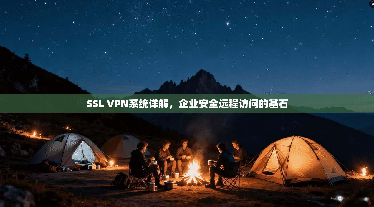 SSL VPN系统详解，企业安全远程访问的基石