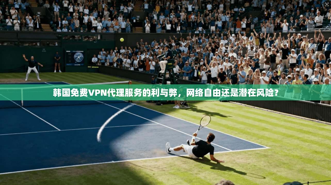 韩国免费VPN代理服务的利与弊，网络自由还是潜在风险？