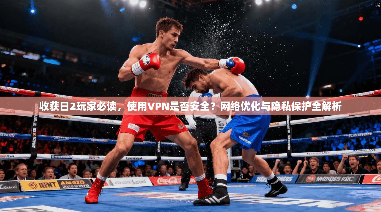 收获日2玩家必读，使用VPN是否安全？网络优化与隐私保护全解析