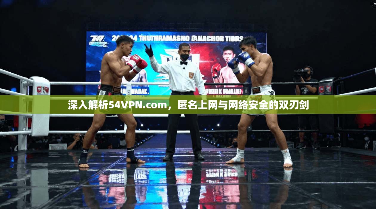 深入解析54VPN.com，匿名上网与网络安全的双刃剑