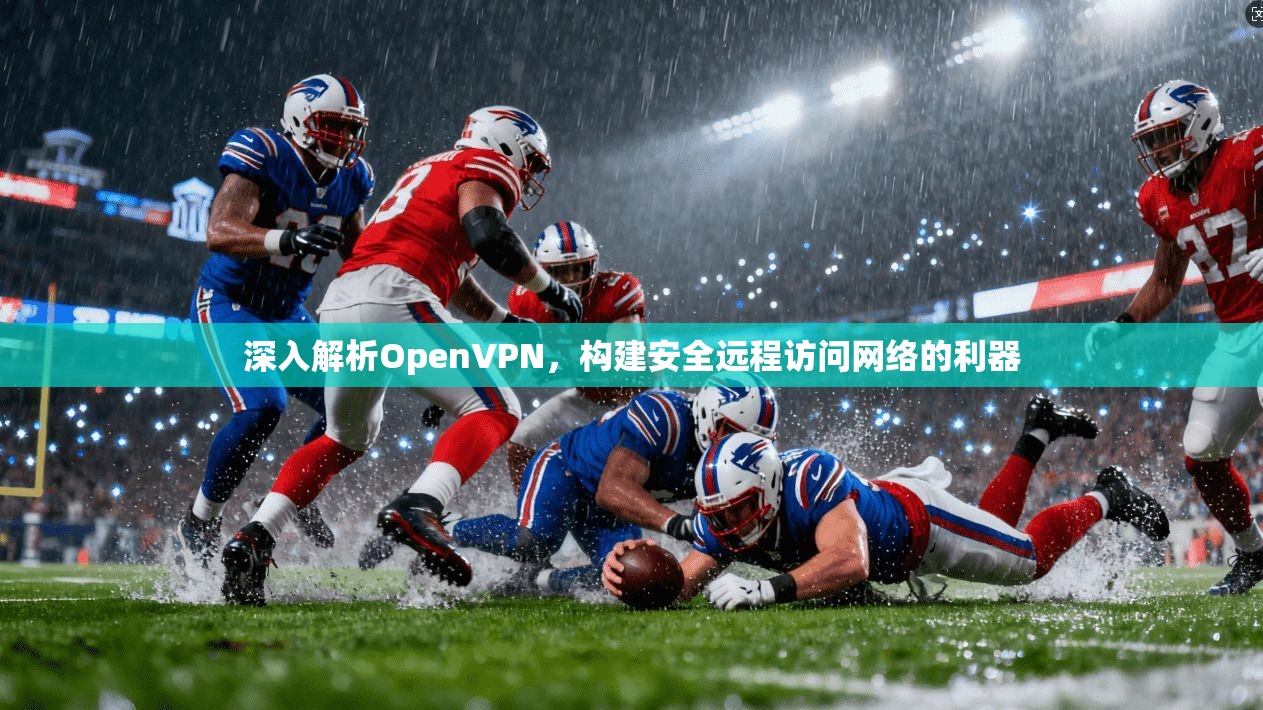 深入解析OpenVPN，构建安全远程访问网络的利器