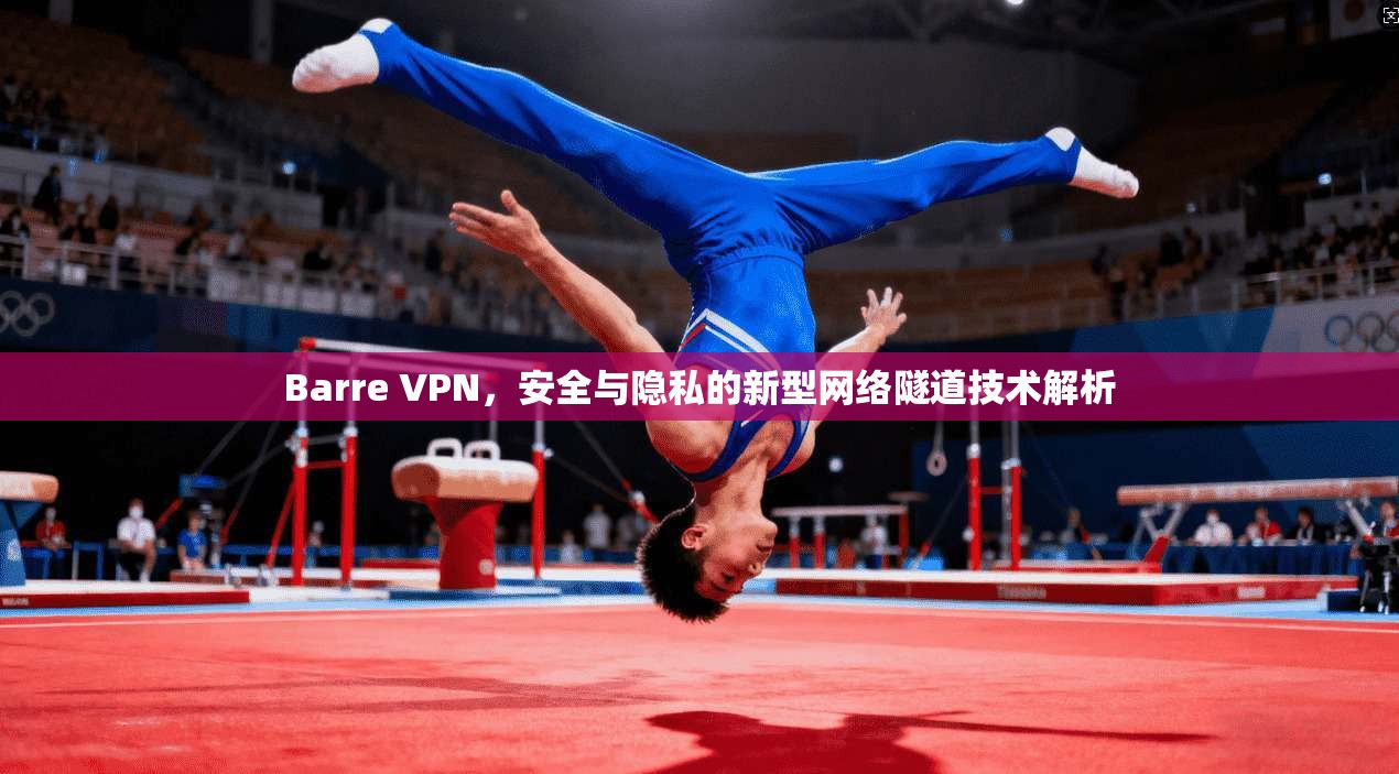 Barre VPN，安全与隐私的新型网络隧道技术解析