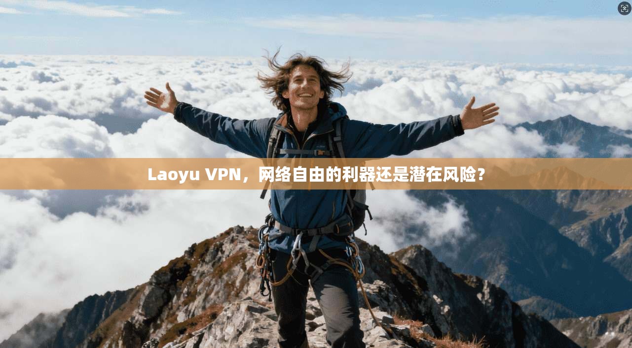 Laoyu VPN，网络自由的利器还是潜在风险？