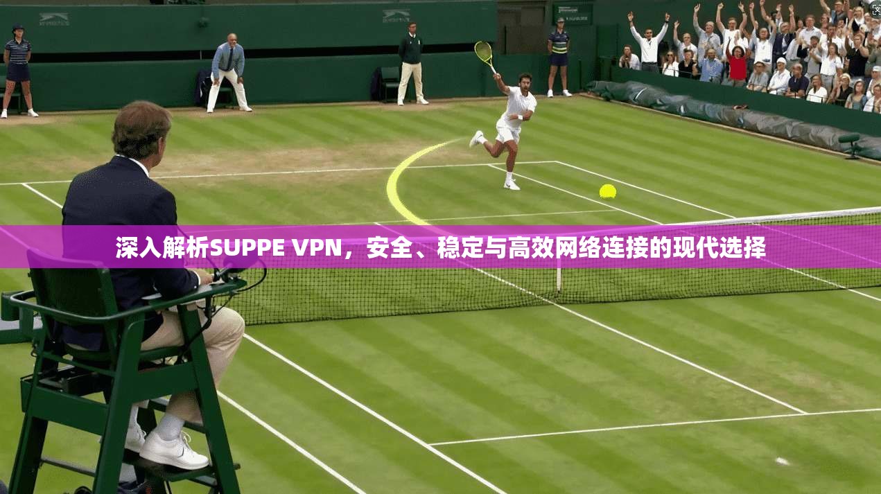 深入解析SUPPE VPN，安全、稳定与高效网络连接的现代选择