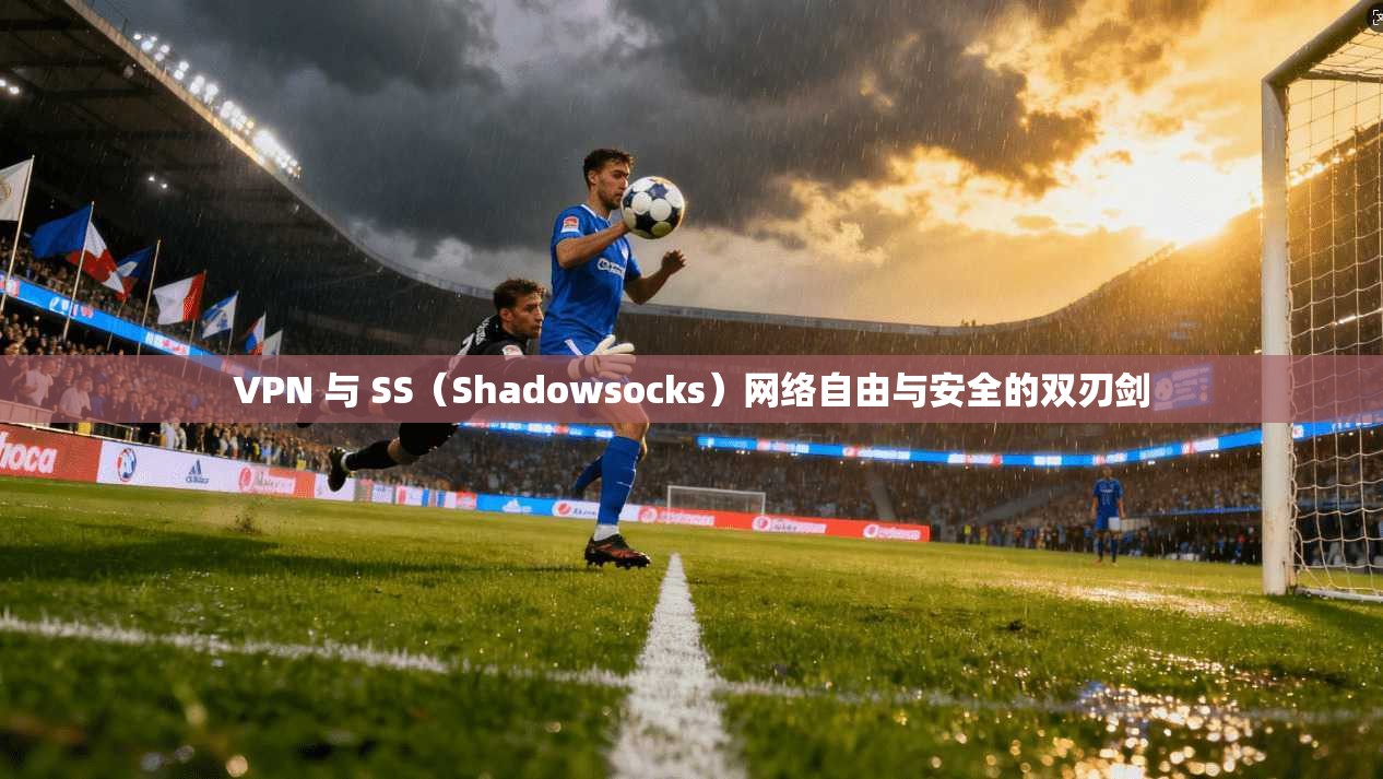 VPN 与 SS（Shadowsocks）网络自由与安全的双刃剑