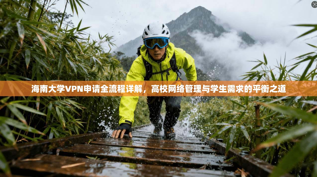 海南大学VPN申请全流程详解，高校网络管理与学生需求的平衡之道