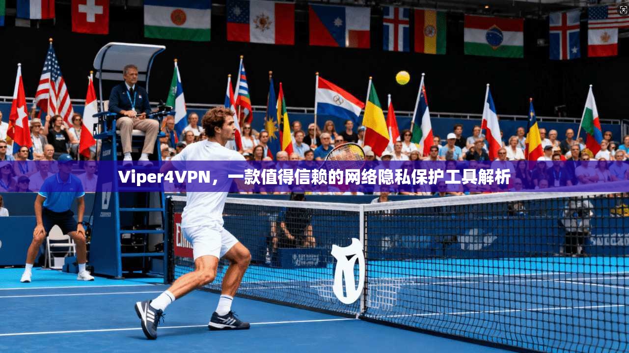 Viper4VPN，一款值得信赖的网络隐私保护工具解析