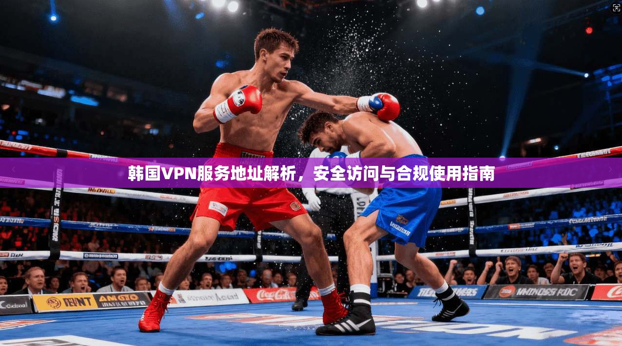 韩国VPN服务地址解析，安全访问与合规使用指南
