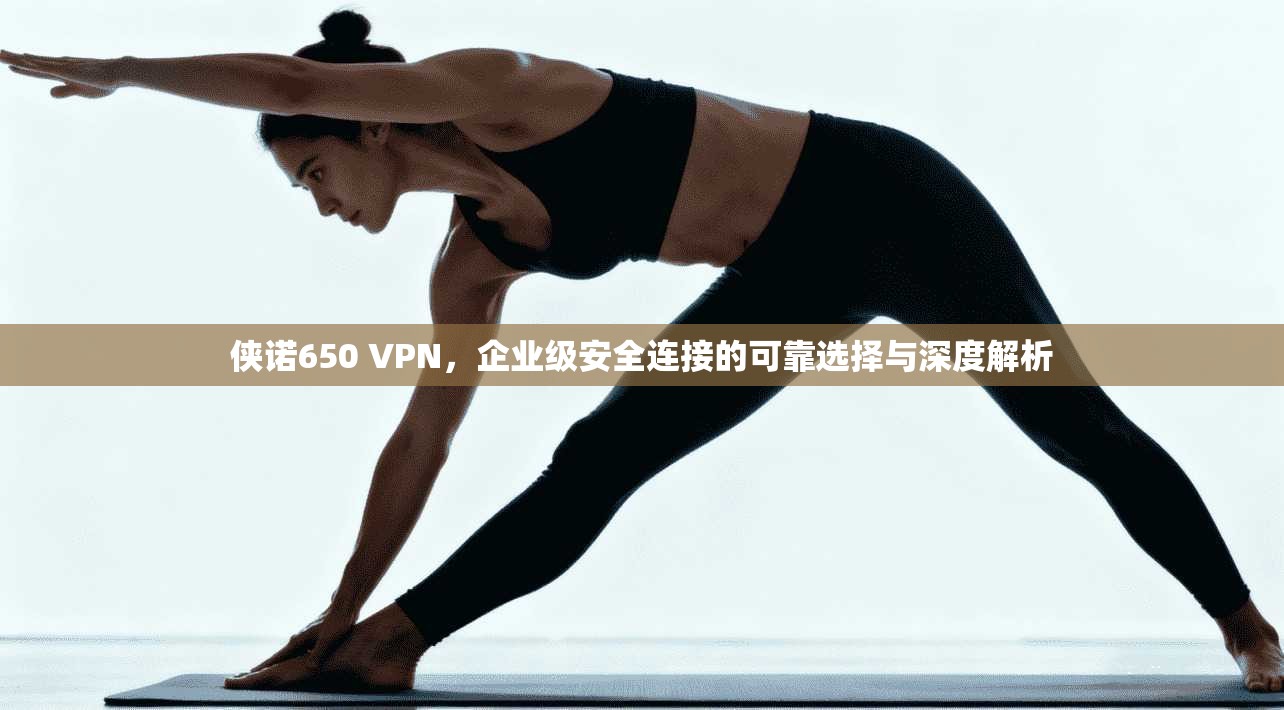 侠诺650 VPN，企业级安全连接的可靠选择与深度解析