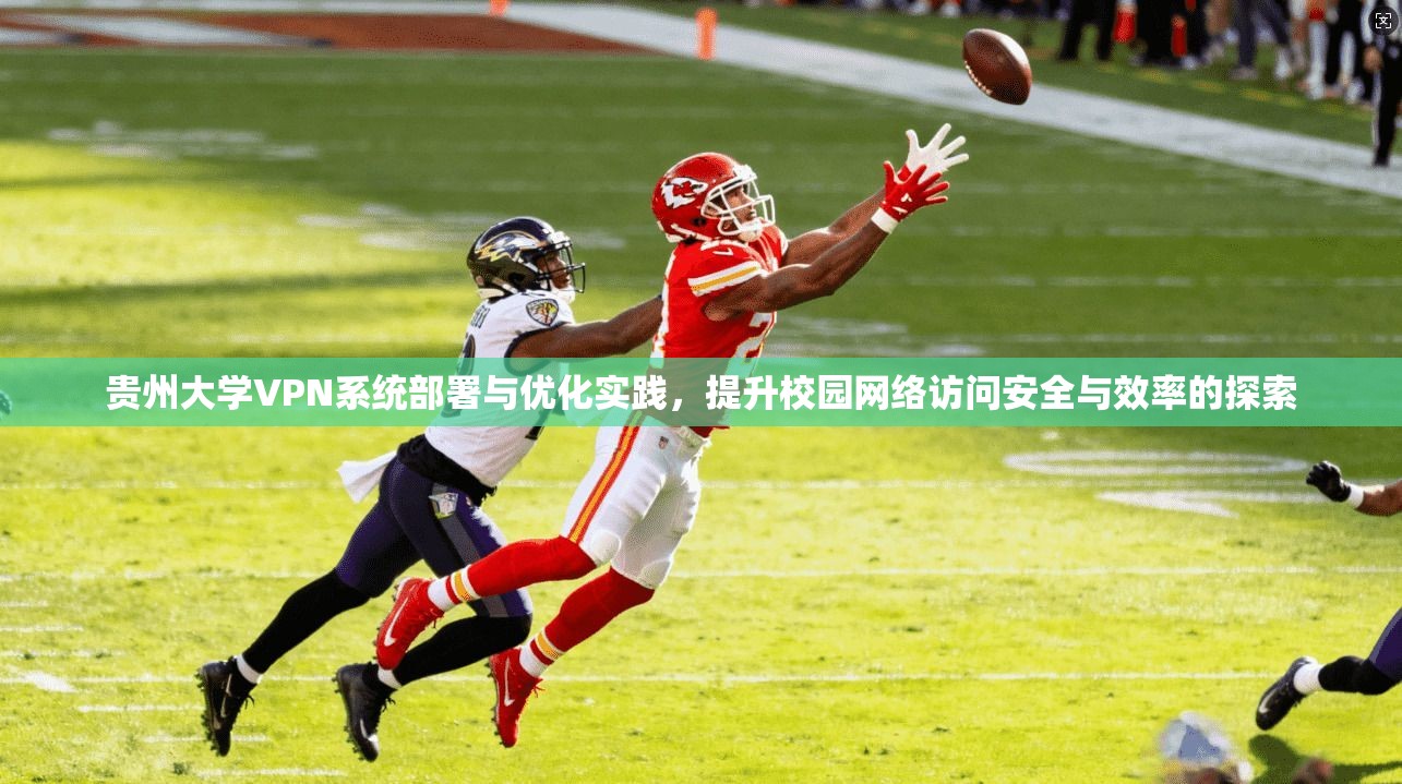 贵州大学VPN系统部署与优化实践，提升校园网络访问安全与效率的探索