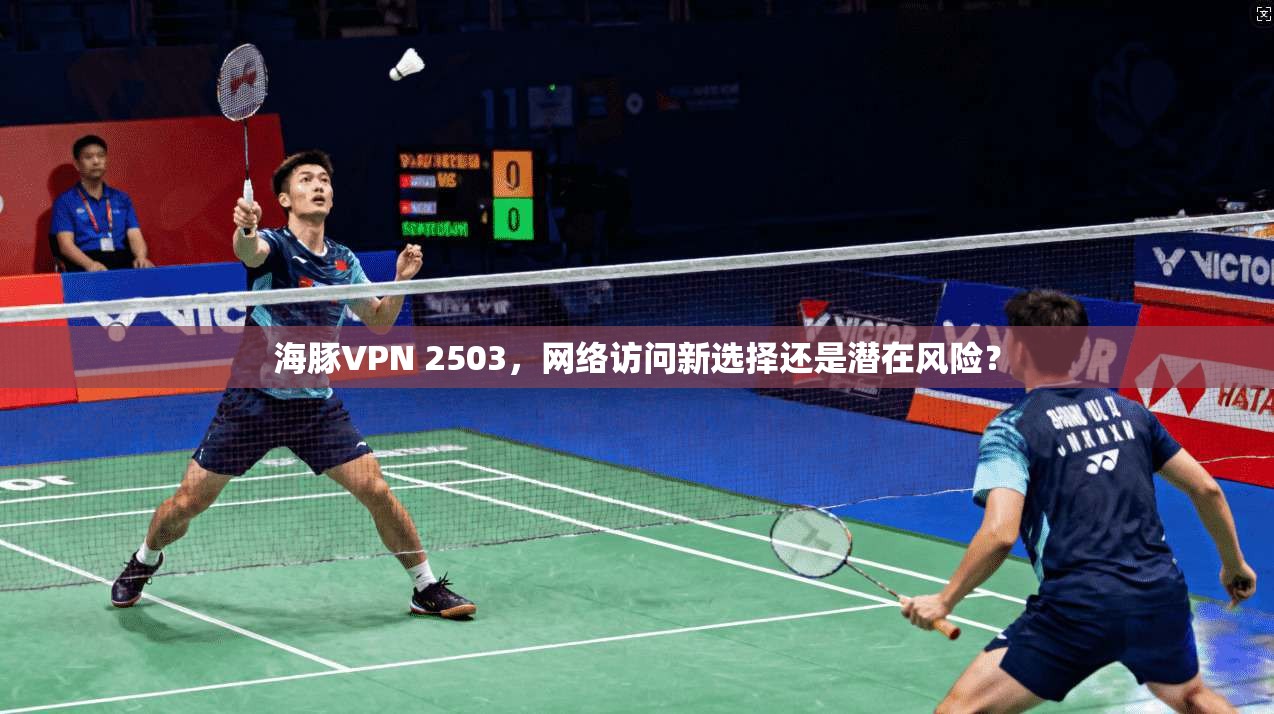 海豚VPN 2503，网络访问新选择还是潜在风险？