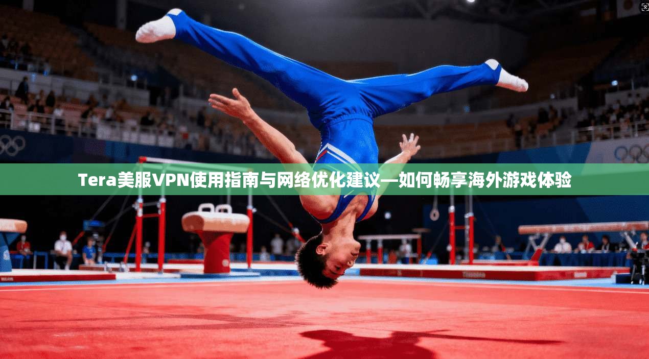 Tera美服VPN使用指南与网络优化建议—如何畅享海外游戏体验