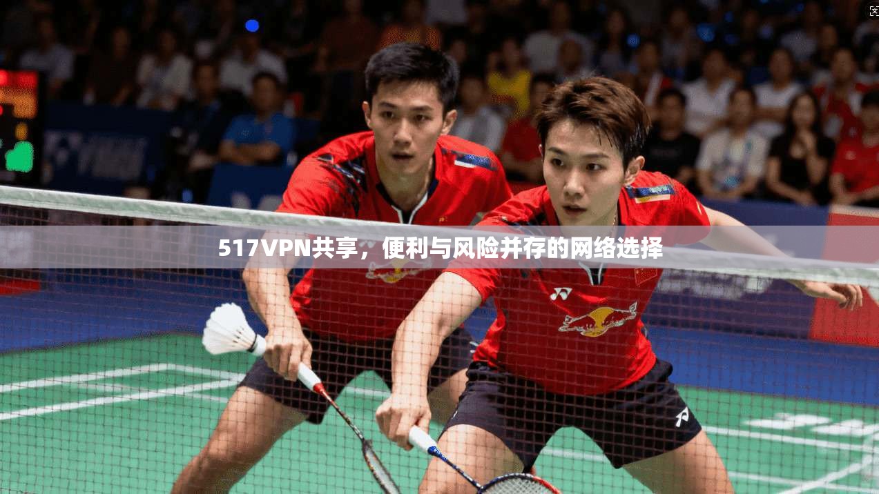 517VPN共享，便利与风险并存的网络选择