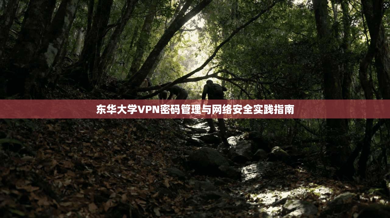 东华大学VPN密码管理与网络安全实践指南