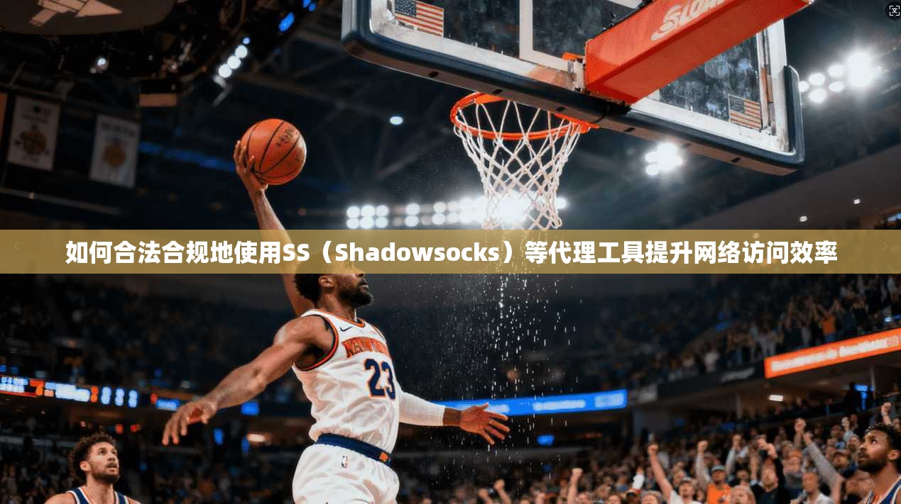 如何合法合规地使用SS（Shadowsocks）等代理工具提升网络访问效率