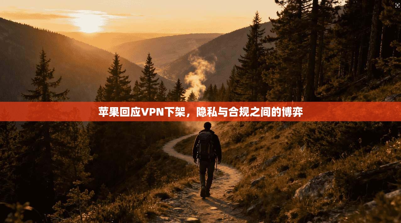 苹果回应VPN下架，隐私与合规之间的博弈
