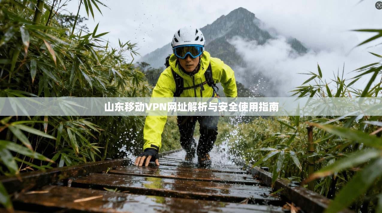 山东移动VPN网址解析与安全使用指南