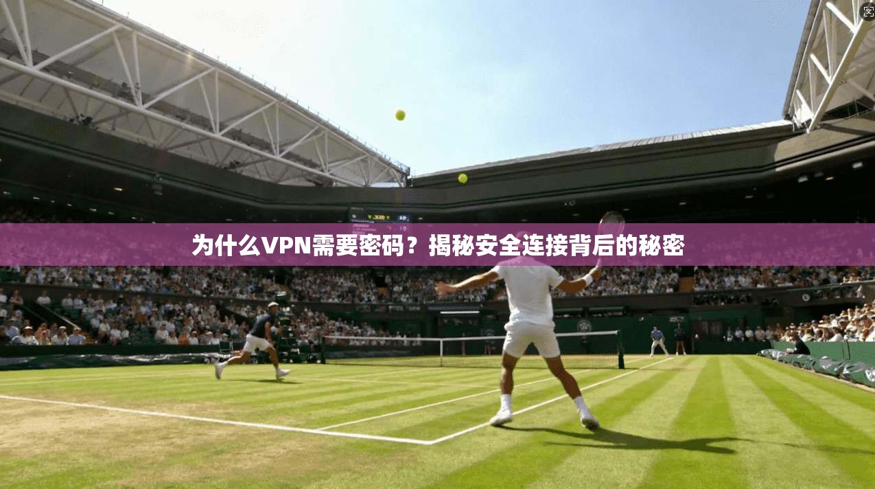 为什么VPN需要密码？揭秘安全连接背后的秘密