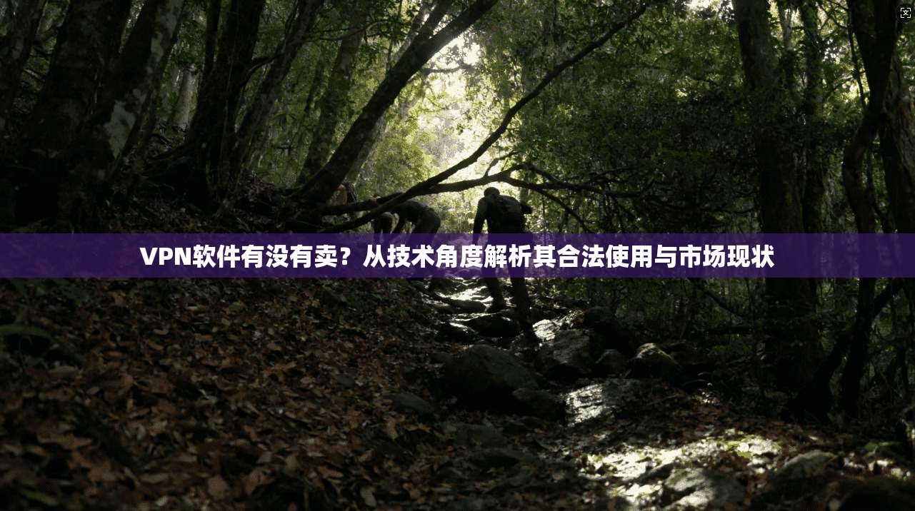 VPN软件有没有卖？从技术角度解析其合法使用与市场现状