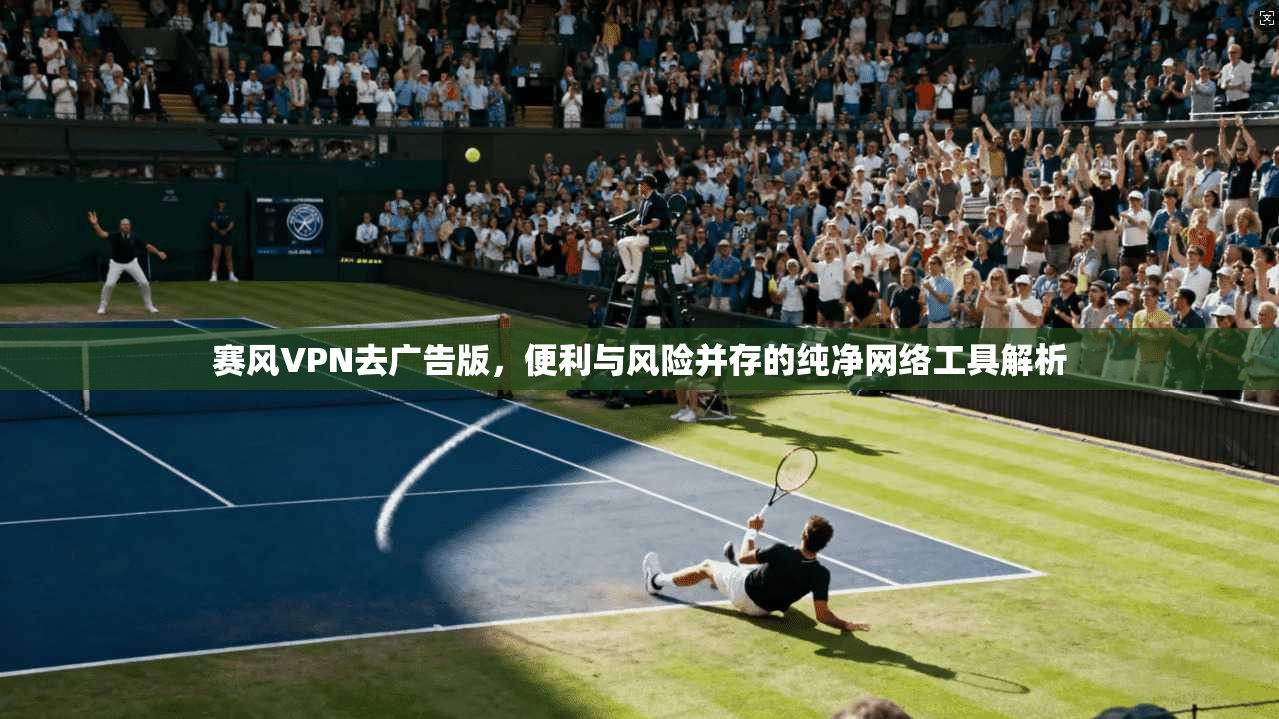 赛风VPN去广告版，便利与风险并存的纯净网络工具解析