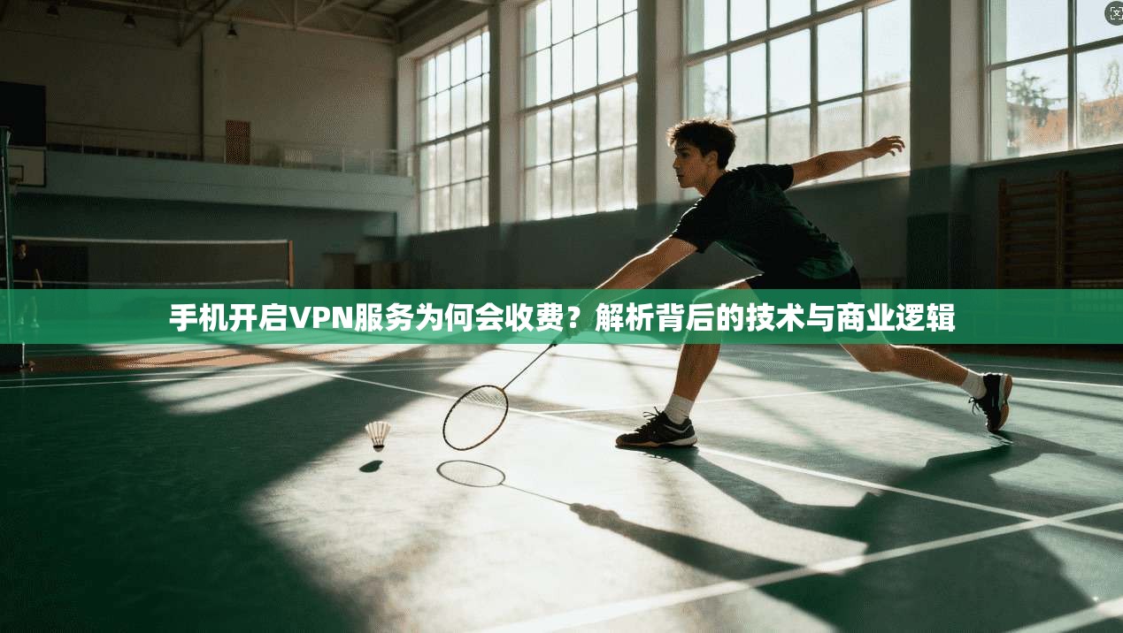 手机开启VPN服务为何会收费？解析背后的技术与商业逻辑