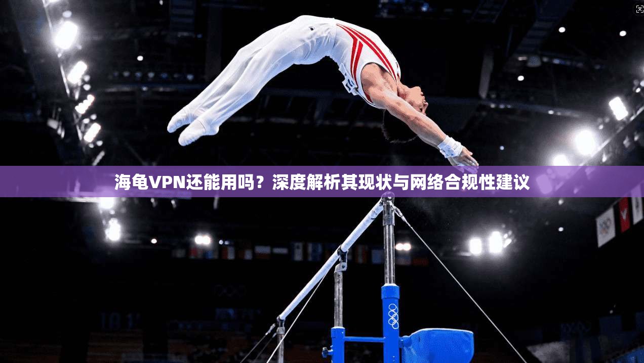 海龟VPN还能用吗？深度解析其现状与网络合规性建议